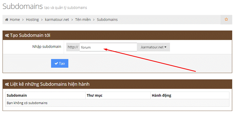 Cách tạo và quản lý Subdomain 