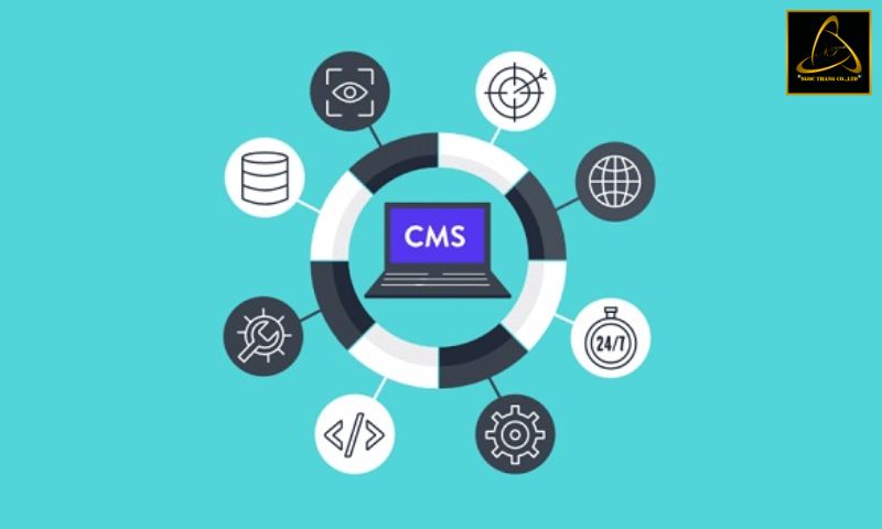 Các chức năng chủ yếu của CMS là gì?